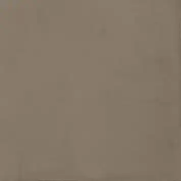 Badkamertegel Tundra taupe 60 x 60 cm keramiek 1,44 m²