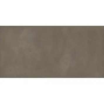 Badkamertegel Tundra taupe 60 x 120 cm keramiek 1,43 m²